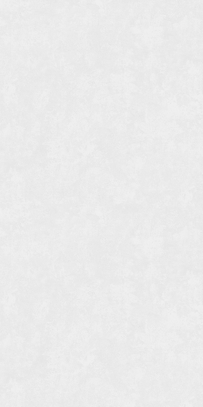 60933-03 Erismann 1,06м