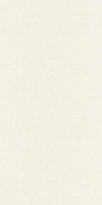 1401US WallFashion 1,06м