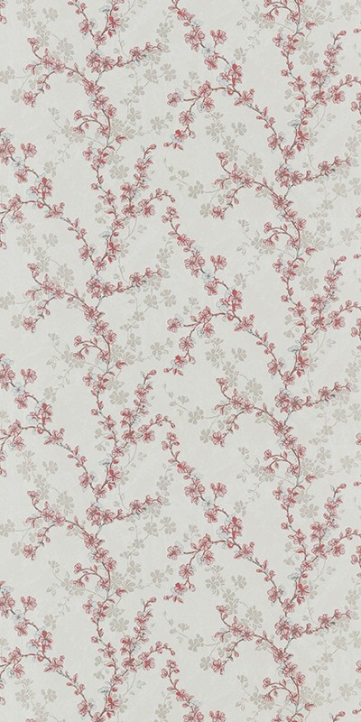 31197-25 Home Color 1,06м