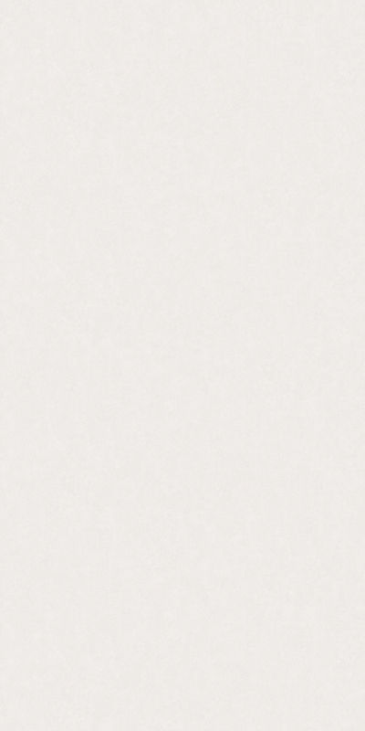 61060-02 Erismann 1,06м