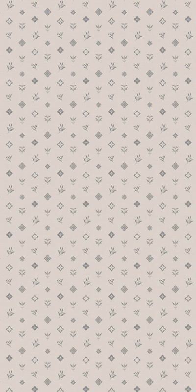 589259 Victoria Stenova 1,06м