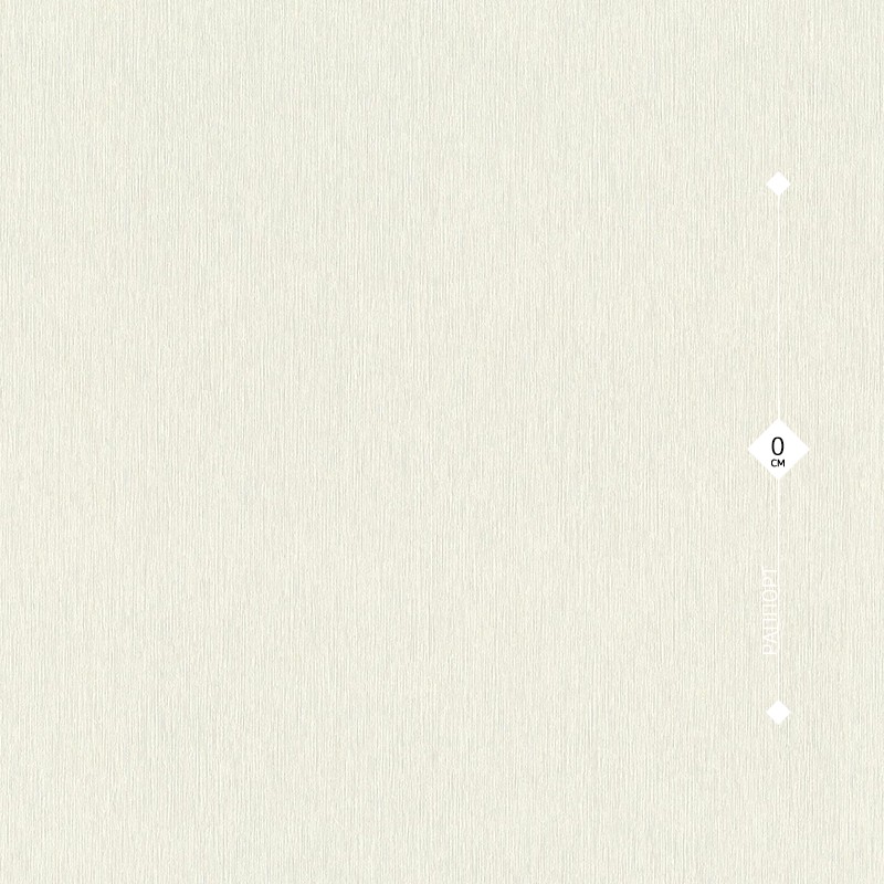 608632 Rasch 0,53м