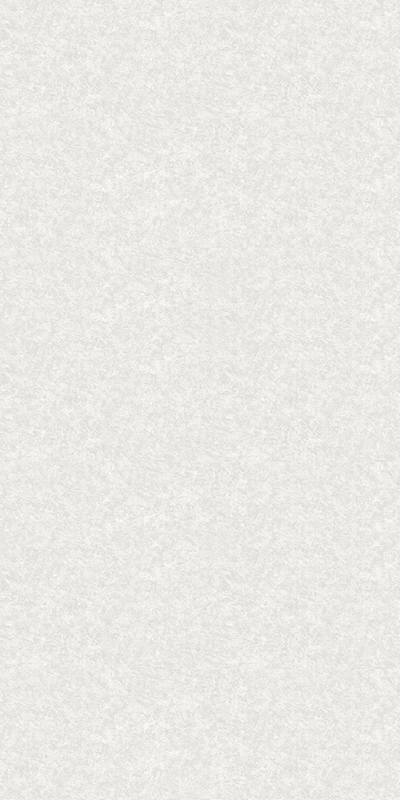 61068-02 Erismann 1,06м