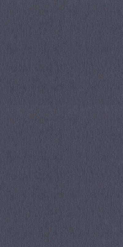 608717 Rasch 0,53м