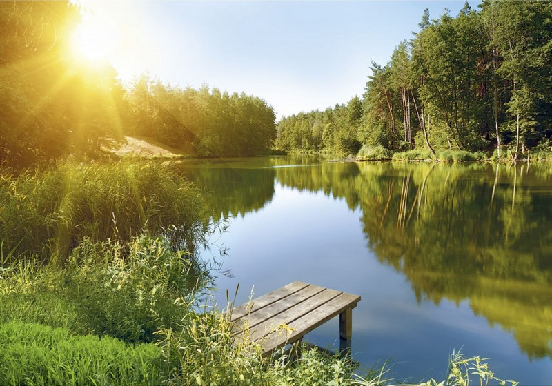 Доброе утро х5 "Премиум" фотообои