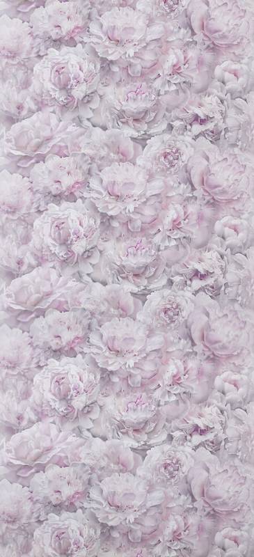 71995-15 Home Color 1,06м