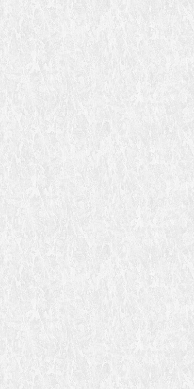 60899-02 Erismann 1,06м