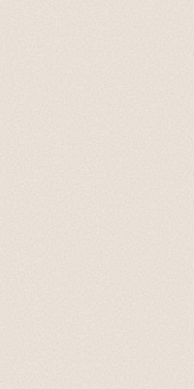 61090-04 Erismann 1,06м
