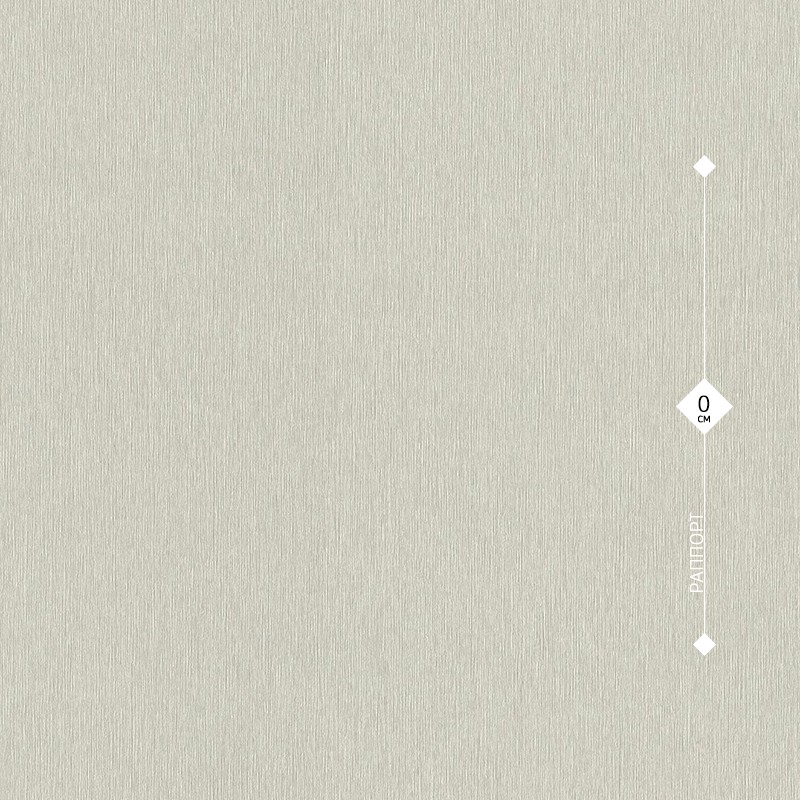 608663 Rasch 0,53м