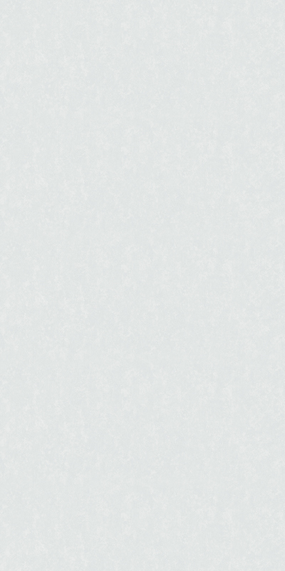 61060-03 Erismann 1,06м