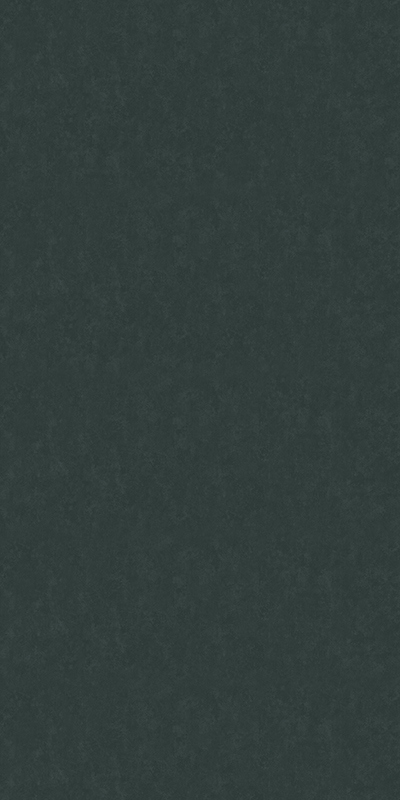 61060-06 Erismann 1,06м