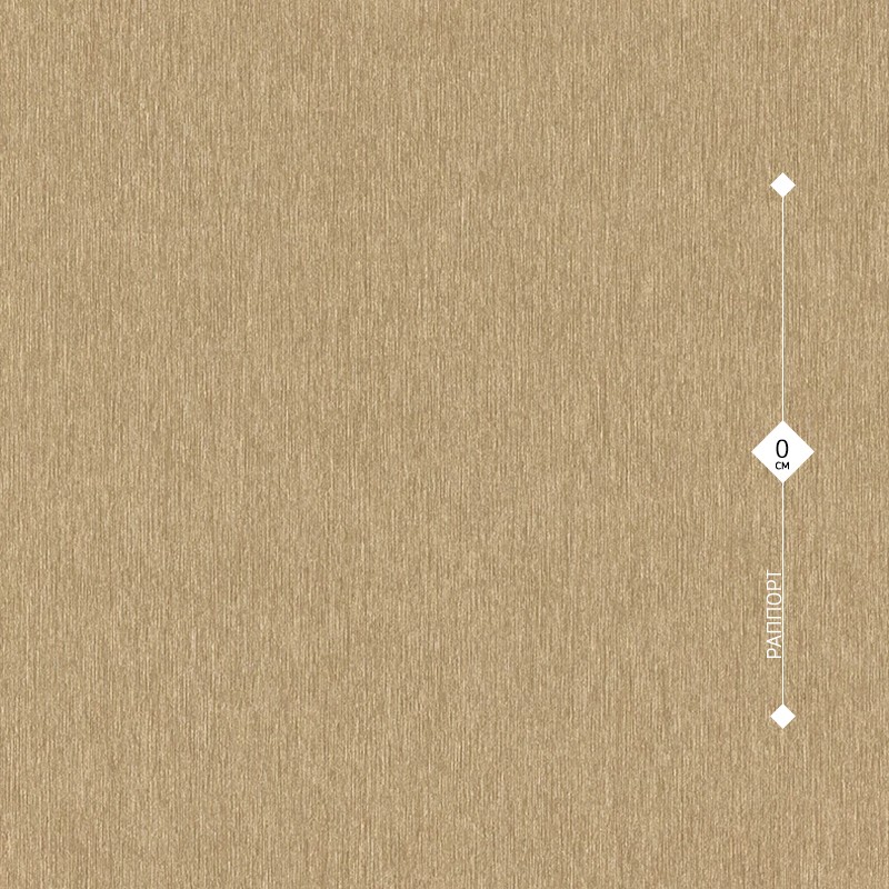 608618 Rasch 0,53м