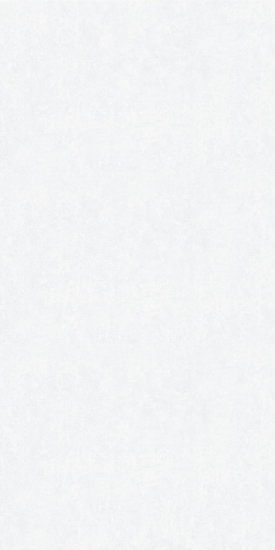 60646-01 Erismann 1,06м