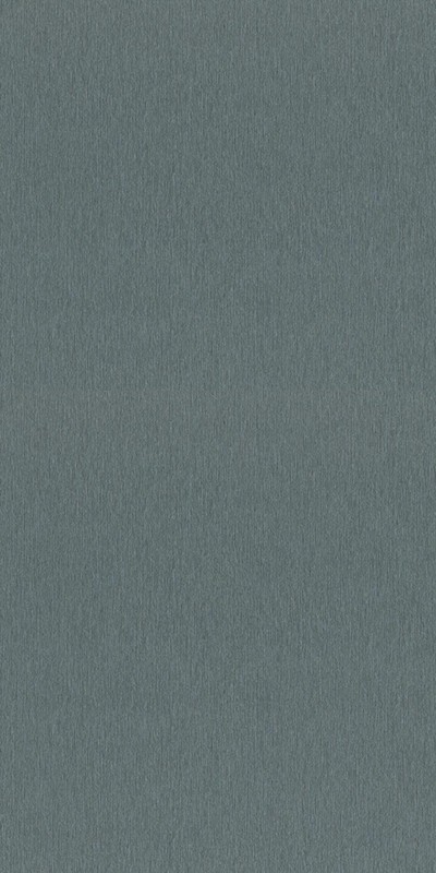 608687 Rasch 0,53м
