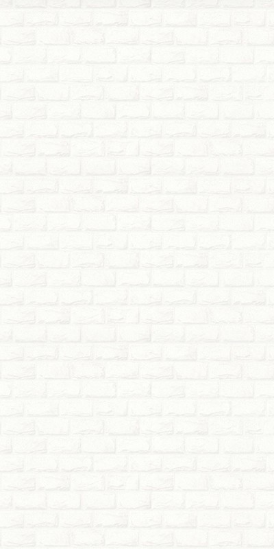 31195-11 Home Color 1,06м