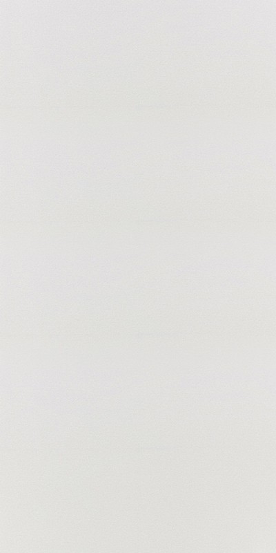 60620-02 Erismann 1,06м