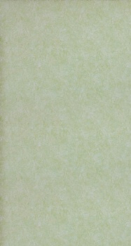 71422-77 Home Color 1,06м