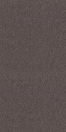 608625 Rasch 0,53м