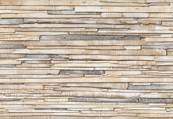 8-920 Фотообои Whitewashed Wood (368*254)