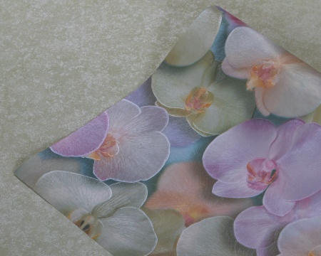 71422-77 Home Color 1,06м