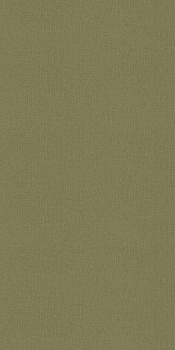 975598 Rasch 1,06м
