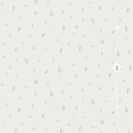 285532 Victoria Stenova 1,06м
