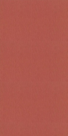 962963R Rasch 1,06м