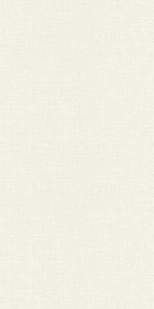 1401US WallFashion 1,06м