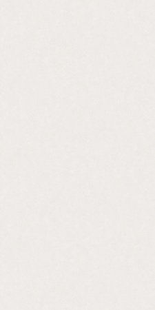 61060-02 Erismann 1,06м