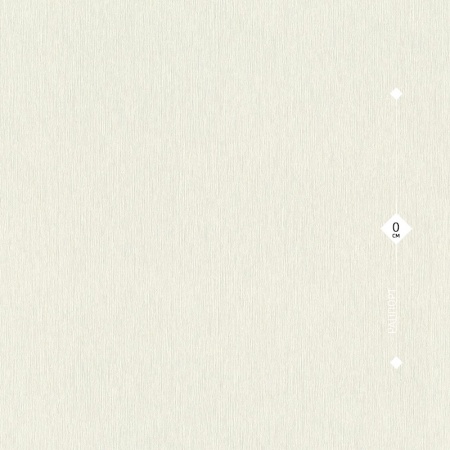 608632 Rasch 0,53м