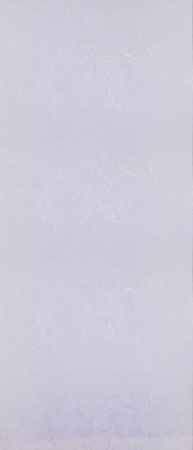 10719-01 EcoLine 1,06м