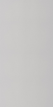 5900-10 Expromt 0,53м