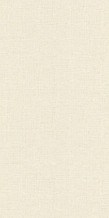 1402US WallFashion 1,06м