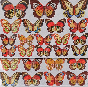 RKA3303 Цветные бабочки
