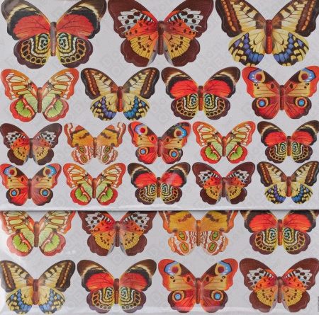 RKA3303 Цветные бабочки