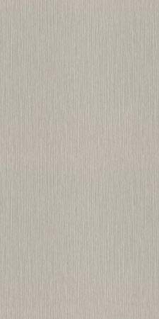 977257 Rasch 1,06м