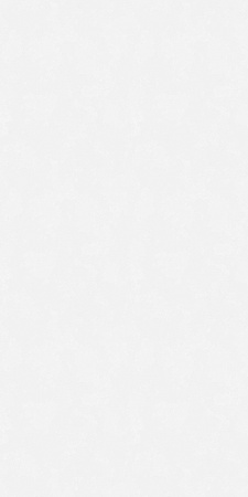 60731-02 Erismann 1,06м