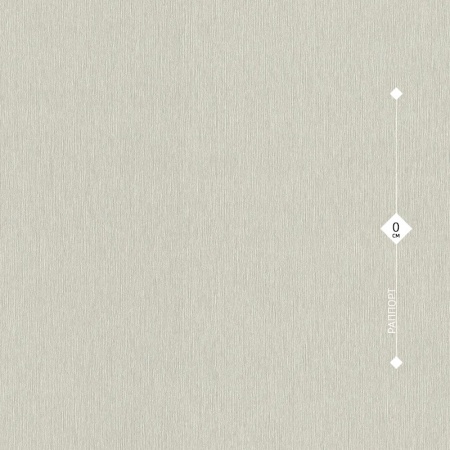 608663 Rasch 0,53м