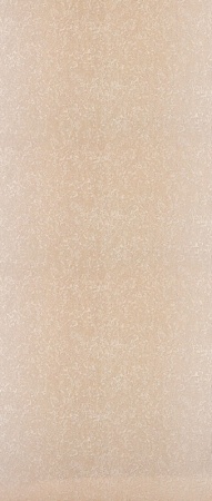 8891 FOX 1,06м