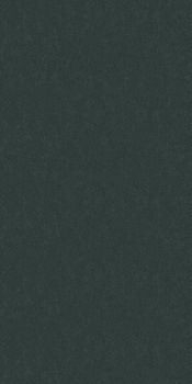 61060-06 Erismann 1,06м