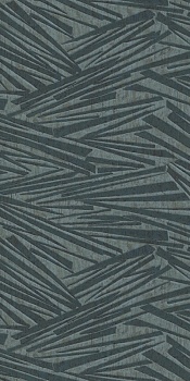 608359 Rasch 0,53м
