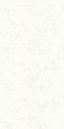 75229-11 WallDecor 1,06м