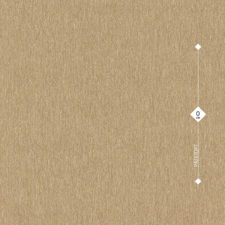 608618 Rasch 0,53м