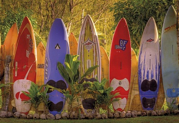 8-902 Фотообои Maui (368*254)