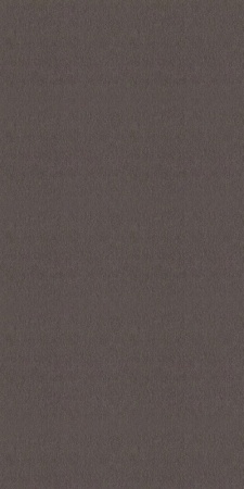 978476 Rasch 1,06м