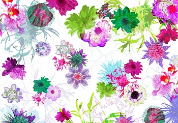 8-911 Фотообои Fleurs de Paris (368*254)