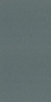 608687 Rasch 0,53м