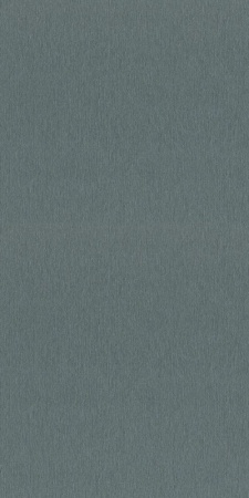 608687 Rasch 0,53м