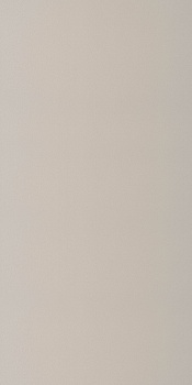 5900-02 Expromt 0,53м